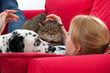 lying young woman with  cat and dalmatian dog