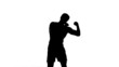 Silhouette of Man Shadowboxing
