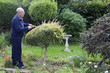 Gardening