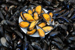 étal de moules au marché à Trouville étal de moules au marché à Trouville