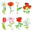 Flower set Flower set
