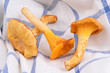 Chanterelles sur un torchon