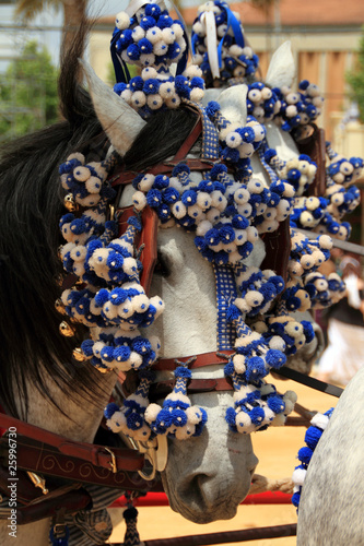 Photo: Caballo, Feria de Jerez Caballo, Feria de Jerez