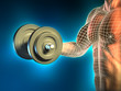 Body building