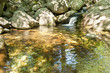 Wasserquelle Wasserquelle