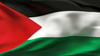 Video: Palestine flag in slow motion Palestine flag in slow motion