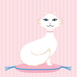 Pampered Cat on Pillow