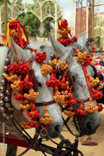 Photo: Caballos en la feria Caballos en la feria