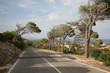 Vento Vento