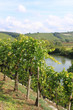wein