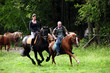 Pferd und Reiter