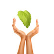 hands with leaf