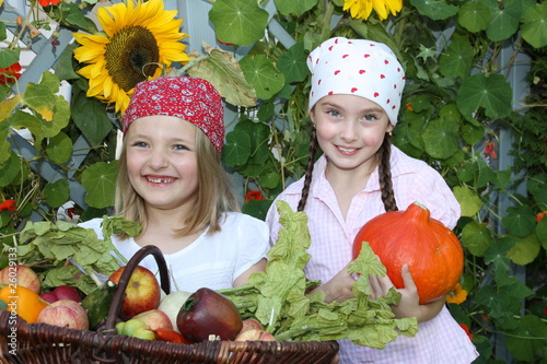 Photo: tolle Ernte 1 tolle Ernte 1