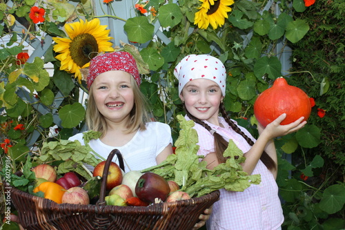 Photo: tolle Ernte! tolle Ernte!