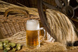 bier mit hopfen
