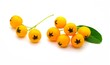 Beeren, sanfte Medizin
