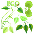 blätter eco