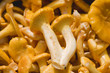 chanterelle mushrooms