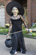 Mixed race girl in witch costume