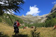 Großglockner11