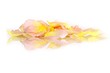 rose petals