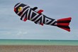 Cerf volant poisson à Dieppe