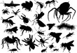 twenty five insect silhouettes twenty five insect silhouettes