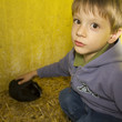 Kid and rabbit Kid and rabbit