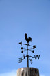 rooster in the tower