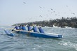 Outrigger canoeing team in training