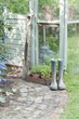 Garden tools and wellington boots outside greenhouse