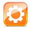 Gear Button - Settings