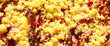 Pflaumekuchen mit Streusel.