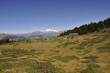 panorama montano