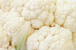 White cauliflower for texture or background or like background White cauliflower for texture or background or like background