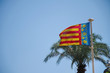 Valencian community flag Valencian community flag