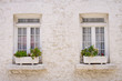 Ventanas y maceteros