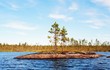 two small pines on lake two small pines on lake