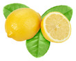 Yellow lemon with green leaf Yellow lemon with green leaf