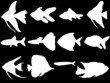 aquarium fish silhouette collection vector
