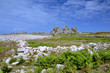 OUESSANT