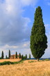 Zypressen mit Haus vor blauem Himmel, Toskana, Italien
