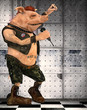 toon pig punk
