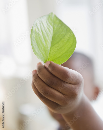 Photo: Black boy holding green leaf Black boy holding green leaf