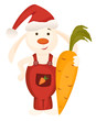 Christmas bunny and big carrot