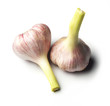 Foto: Knoblauch Knoblauch