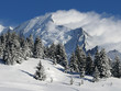 Les Houches : paysage enneigé (4) Les Houches : paysage enneigé (4)