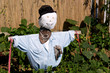 Scarecrow Scarecrow