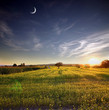 newDay