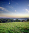 wiese-1